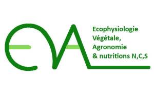 Eva-Logo